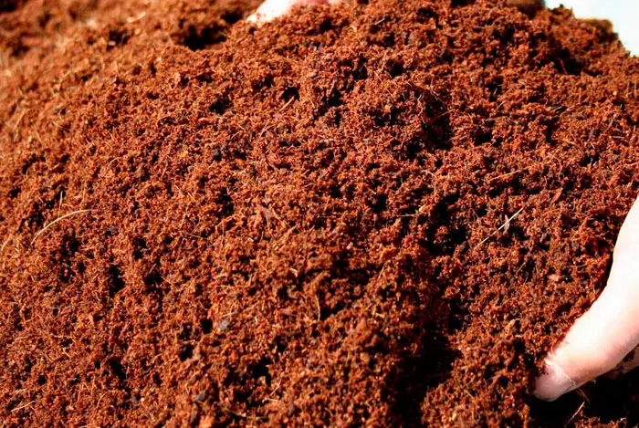 Coconut Fiber 50L